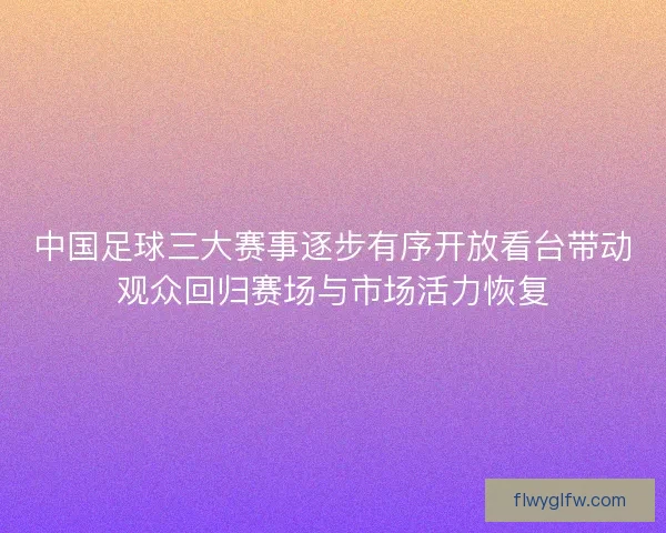 中国足球三大赛事逐步有序开放看台带动观众回归赛场与市场活力恢复
